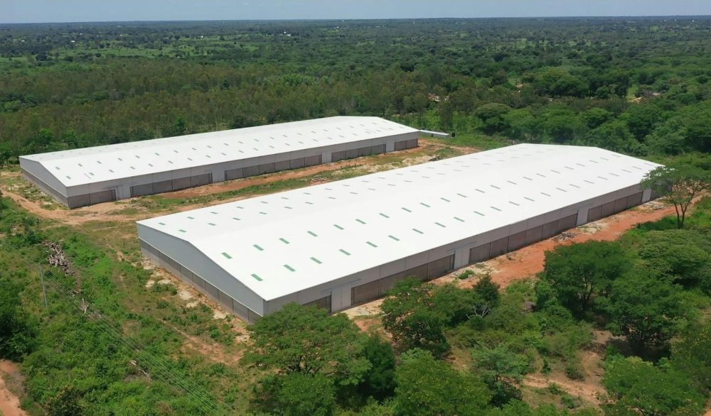 urambo1
