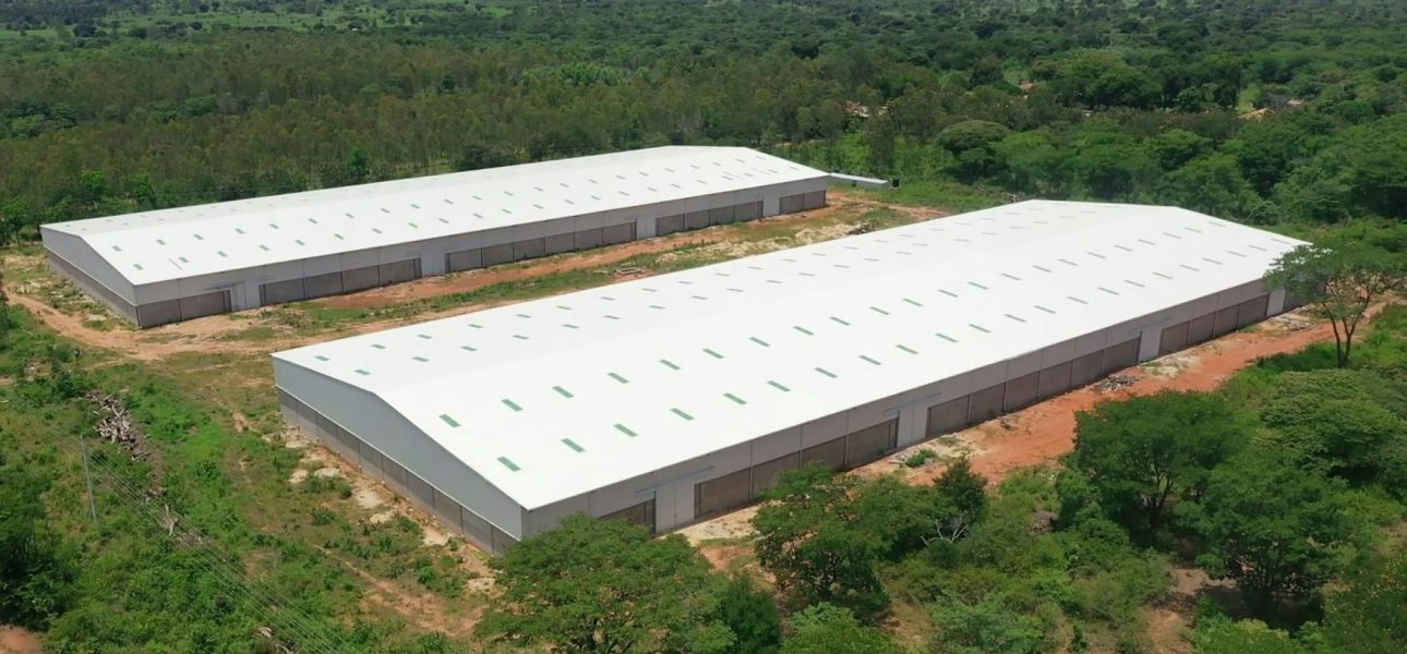 urambo1